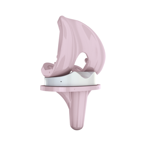 BPK-S ceramic knee made of BIOLOX®delta, from Peter Brehm