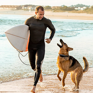 CeramTec Medical Bioceramics – Enhancing Quality of Life for Animals.