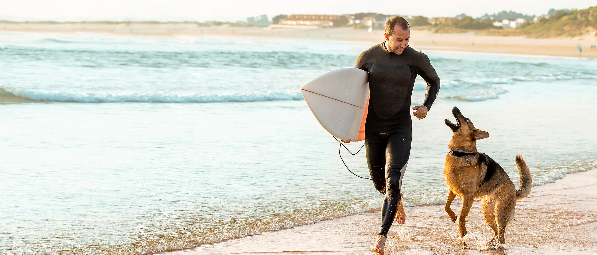 CeramTec Medical Bioceramics – Enhancing Quality of Life for Animals.