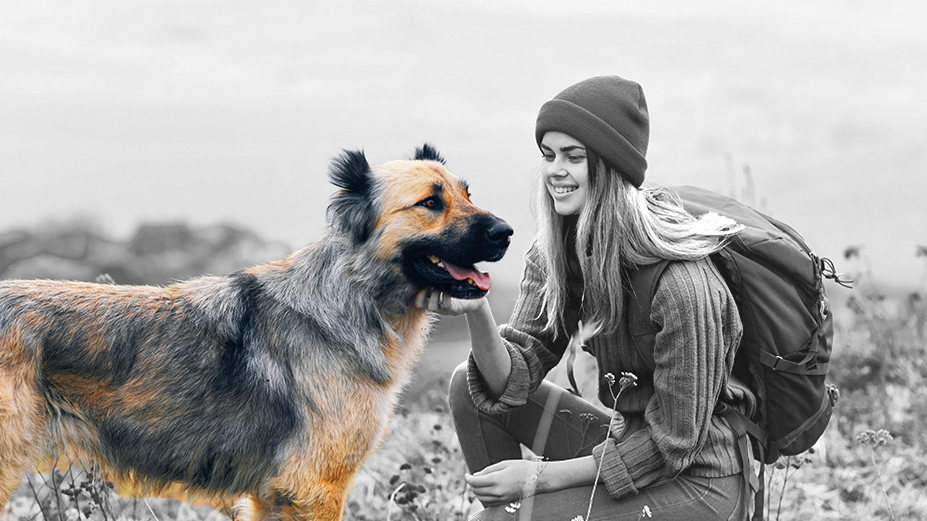 A woman in hiking gear kneels in a field, petting her German Shepherd. The grayscale background highlights the dog’s vibrant fur, symbolizing strength and loyalty.