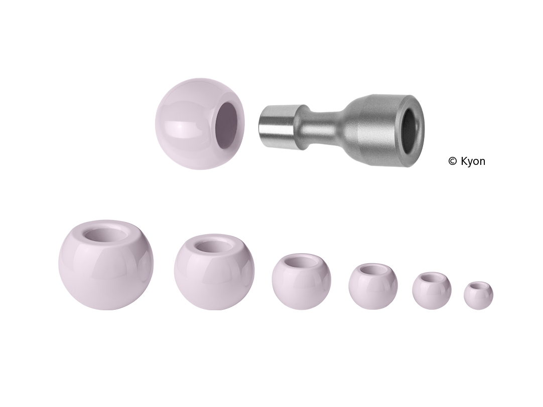 Implants made of advanced ceramics for veterinary medicine.